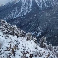 title is different in lightbox