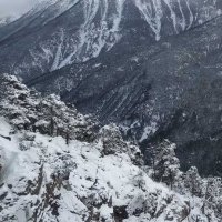 This image has a title